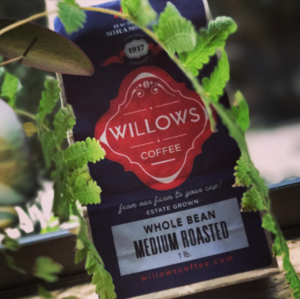 Willows Coffee Connecting Consumers and Roasters to Costa Rica