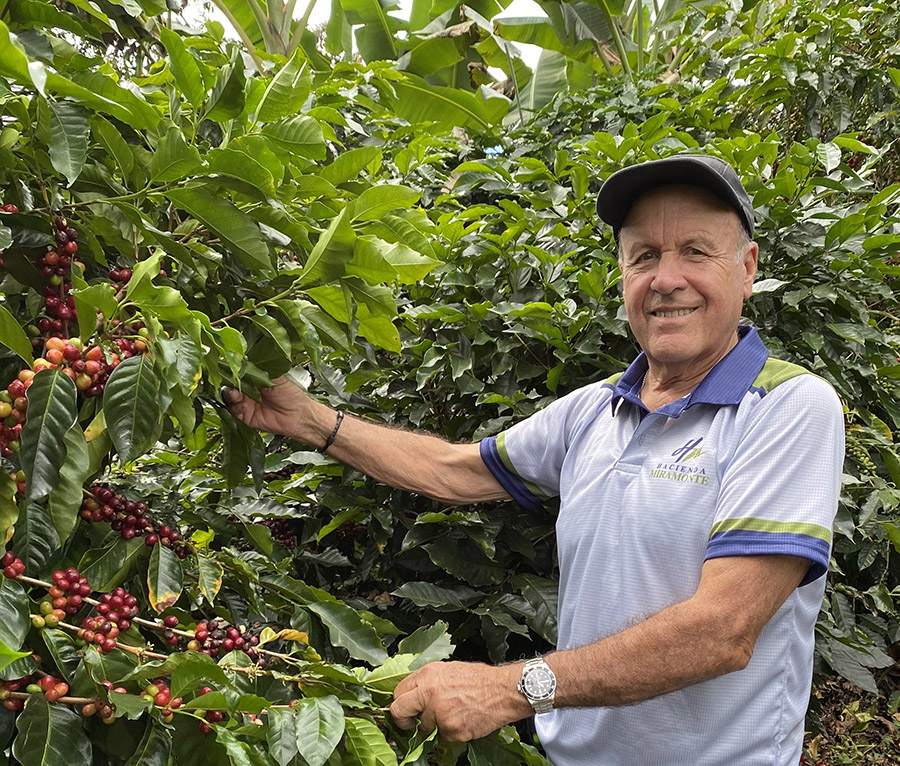 costa rican coffee