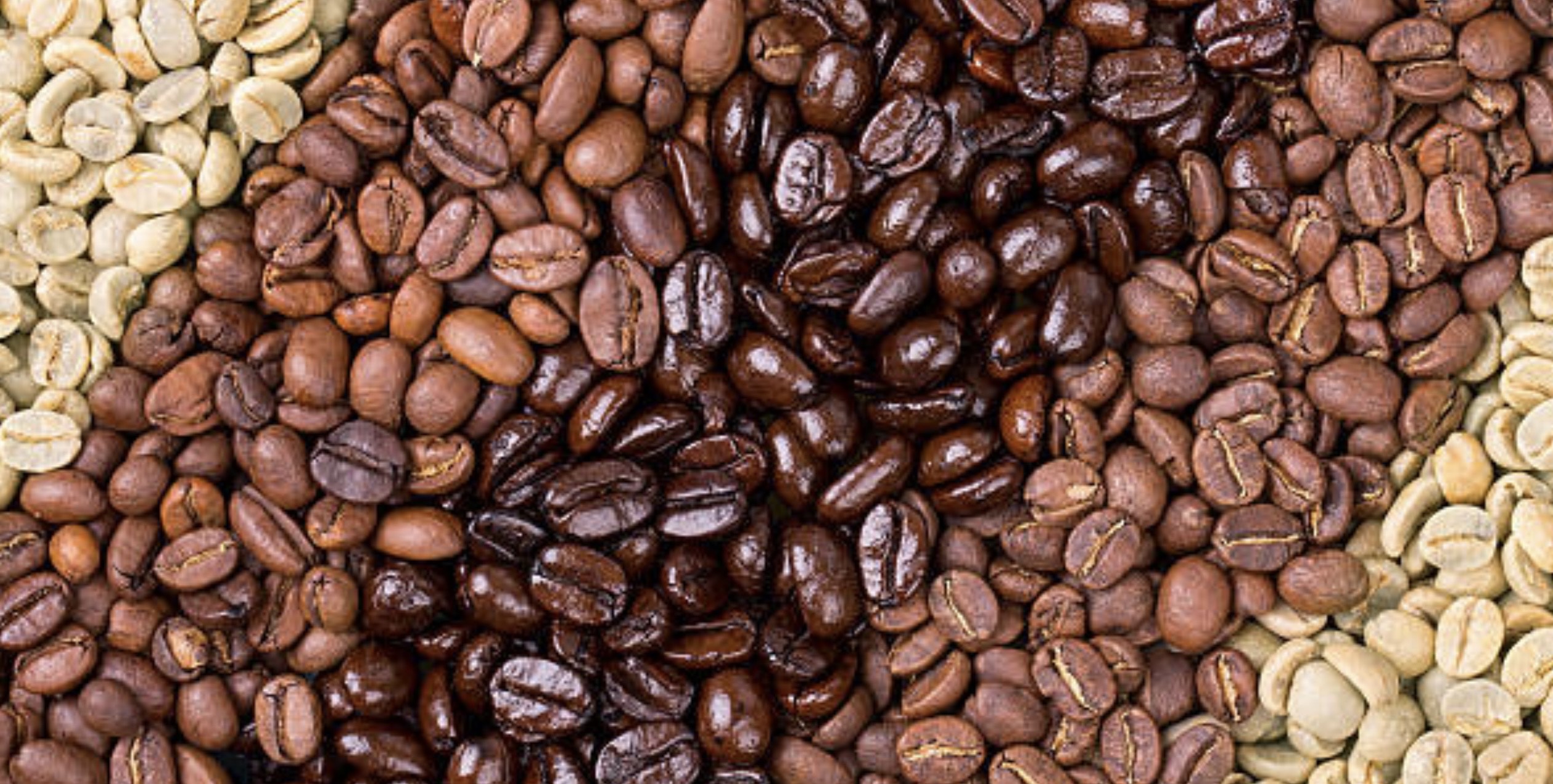 What’s the Difference between Light, Medium, And Dark Roast Coffee